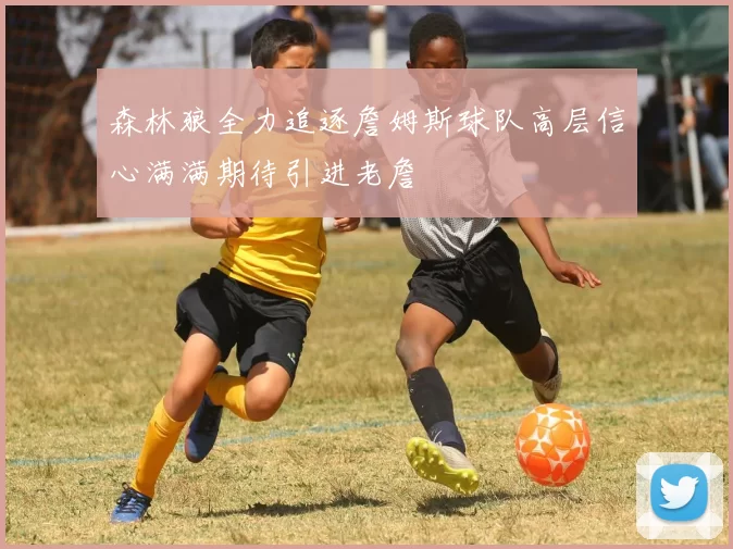 森林狼全力追逐詹姆斯球队高层信心满满期待引进老詹